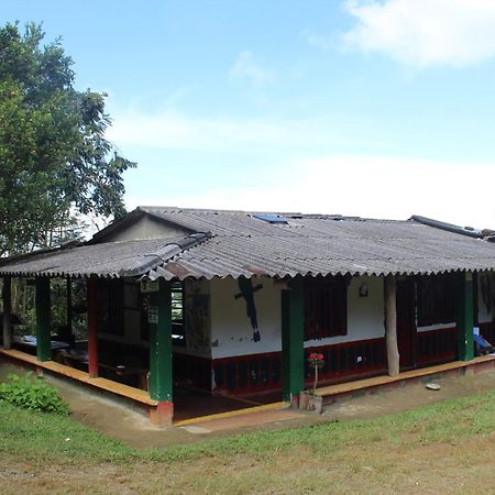 Alojamiento Rural Café Yarumo Buenavista  Exterior foto